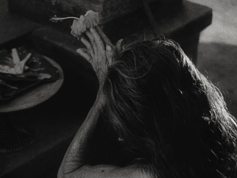 Image 4-11-25 at 7.49 PM (1)